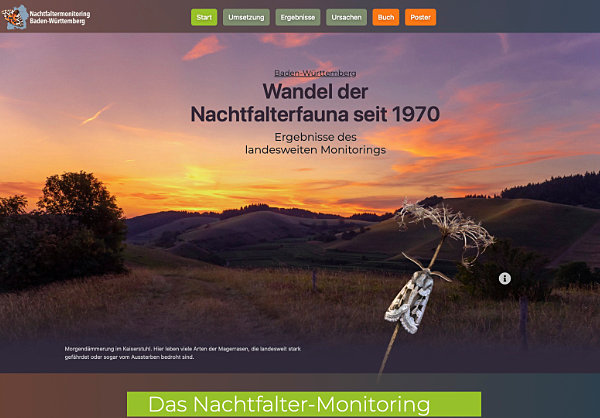 Website Nachtfalter-Monitoring